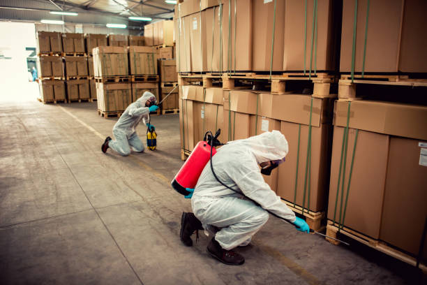 Best Pest Inspection Near Me  in Flanders, NJ
