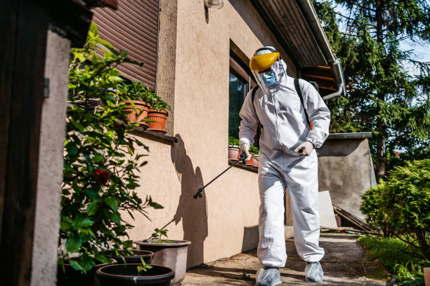 Best Ant Control Services  in Flanders, NJ
