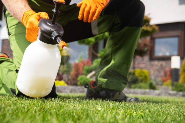 Best Best Pest Control Companies  in Flanders, NJ