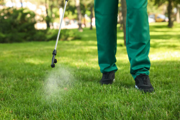 Best Pest Inspection Near Me  in Flanders, NJ
