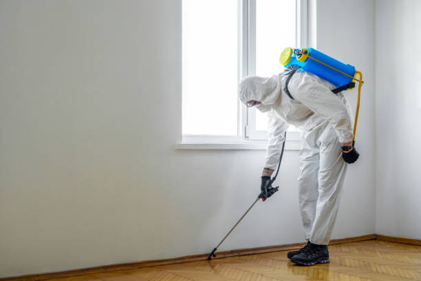 Best Pest Removal Services  in Flanders, NJ