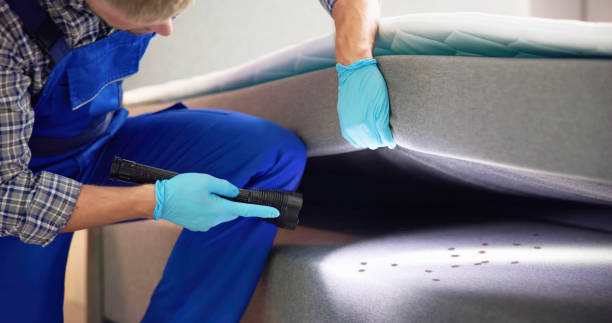 Best Residential Pest Control  in Flanders, NJ