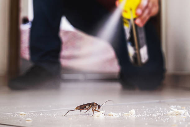 Best Wildlife Control Services  in Flanders, NJ