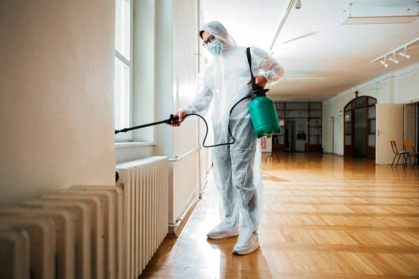 Best Rat Extermination Near Me  in Flanders, NJ