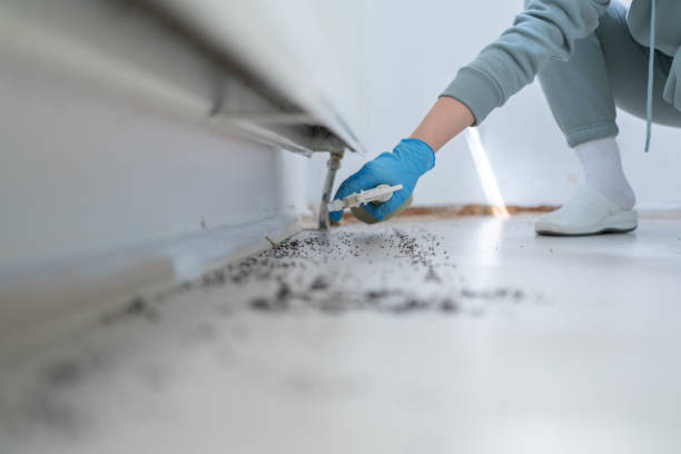 Best Affordable Pest Control Services  in Flanders, NJ