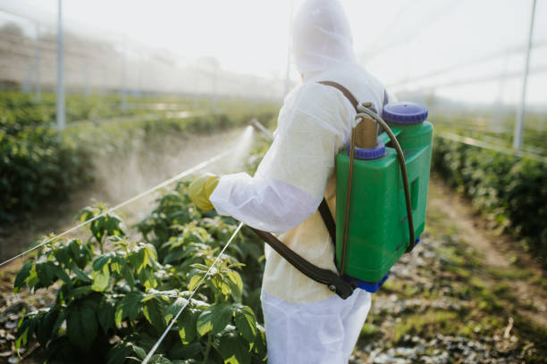 Best Pest Control Near Me  in Flanders, NJ